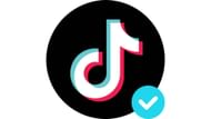 How to get verified, explored (image via TikTok)